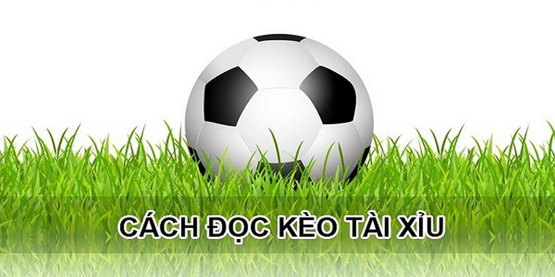 Cách đọc kèo Tài Xỉu 3 trái cực dễ hiểu dành cho tân binh