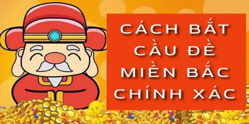 cach-bat-cau-de-mien-bac-chinh-xac