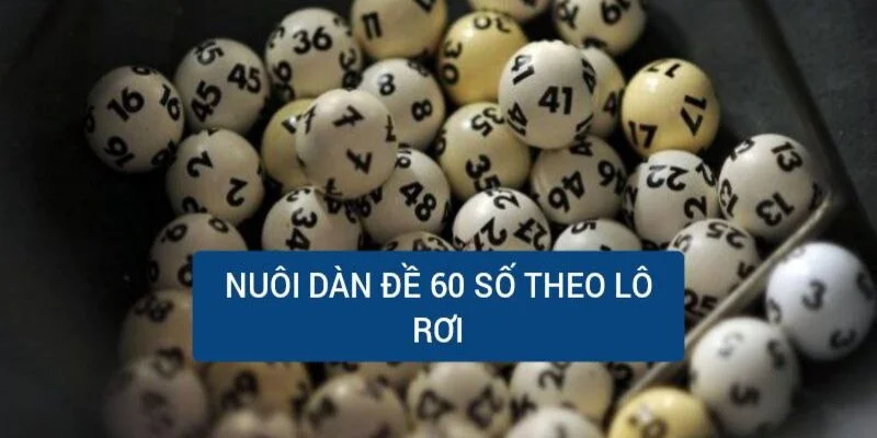 nuoi-dan-de-60-so-theo-lo-roi