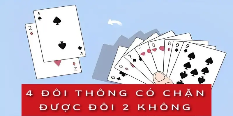 4-doi-thong-co-chan-duoc-doi-2-khong