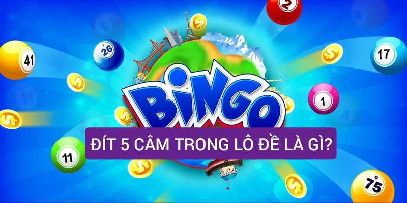 dit-5-cam-trong-lo-de-la-gi