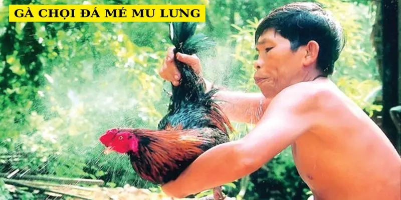 ga-choi-da-me-mu-lung