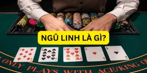 ngu-linh-la-gi