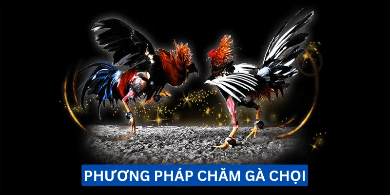 phuong-phap-cham-ga-choi