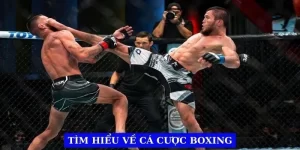 tim-hieu-ve-ca-cuoc-boxing